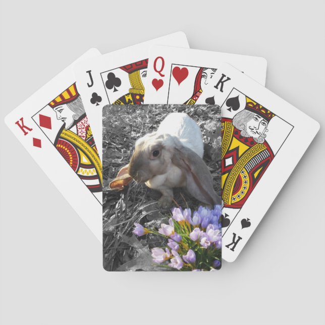 Beautiful English Lop with Flowers Playing Cards (Back)