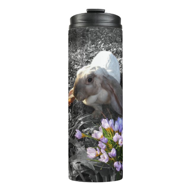 Beautiful English Lop with Flowers Thermal Tumbler (Front)