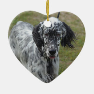 Beautiful English Setter Dog Ceramic Tree Decoration