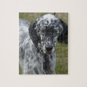 Beautiful English Setter Dog Jigsaw Puzzle