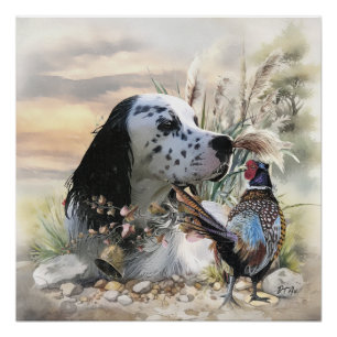 Beautiful English Setter with Pheasant ,  Art  Poster