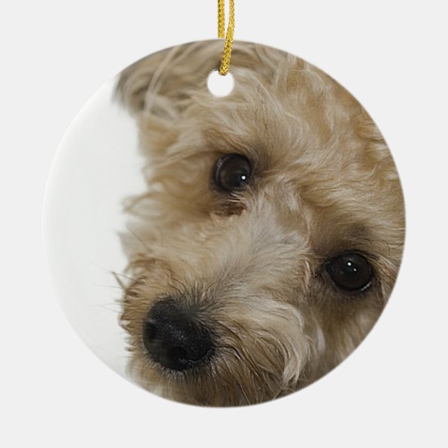 Beautiful Eyes of a Yorkie Poo Puppy Ceramic Tree Decoration (Front)