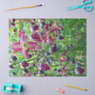 Beautiful Fairy Wings Flowers & Buds Tissue Paper