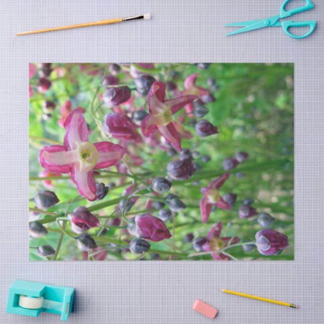 Beautiful Fairy Wings Flowers & Buds Tissue Paper (Craft)