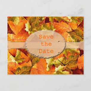 Beautiful fall colour leaves save the date postcar announcement postcard