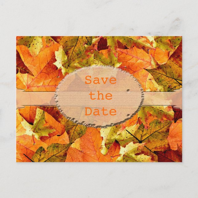 Beautiful fall colour leaves save the date postcar announcement postcard (Front)