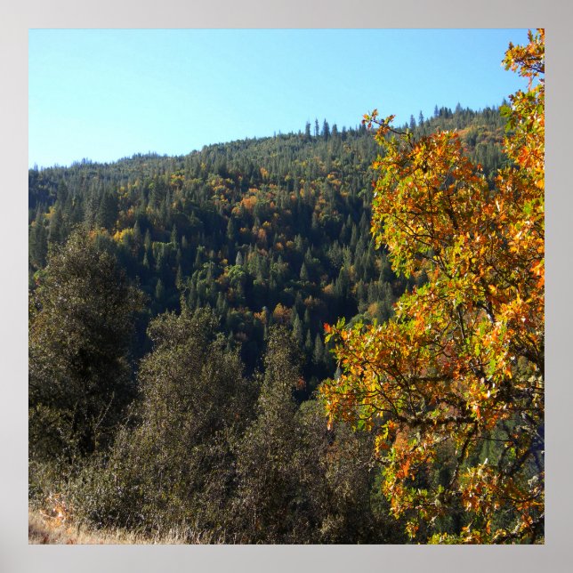 Beautiful Fall colours..... Poster (Front)