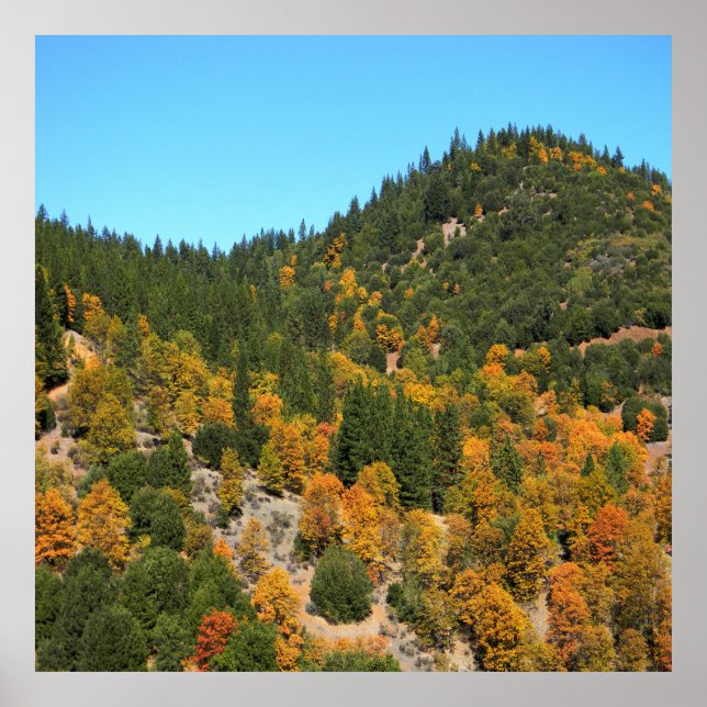 Beautiful Fall day in the mountains...... Poster (Front)