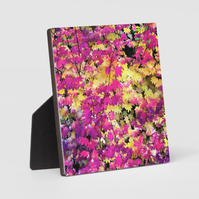 Beautiful Fall Leaves Plaque (Front)