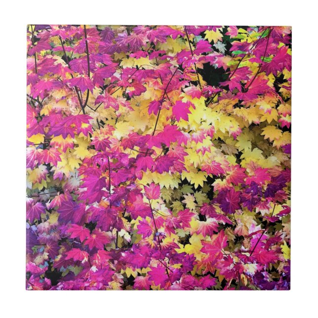 Beautiful Fall Leaves Tile (Front)
