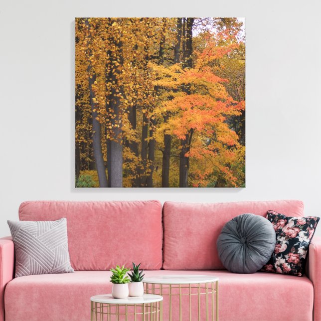 Beautiful Fall Leaves Tulip Poplar Trees Canvas Print (Insitu(LivingRoom))