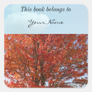 Beautiful Fall Maple Tree in Red Leaves Square Sticker