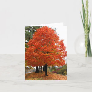 Beautiful Fall Notecard