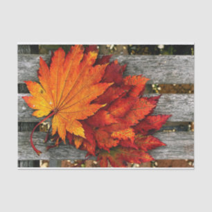 Beautiful Fall Red Leaves on Wooden Fence  Tissue Paper