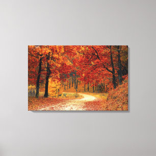 Beautiful Fall Road Canvas Print
