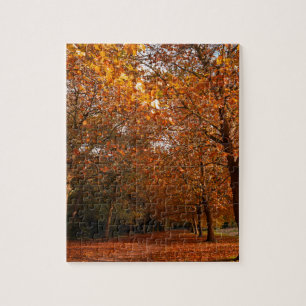 Beautiful Fall trees Jigsaw Puzzle