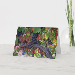 Beautiful Fall Wine Vineyard with Grapes Card