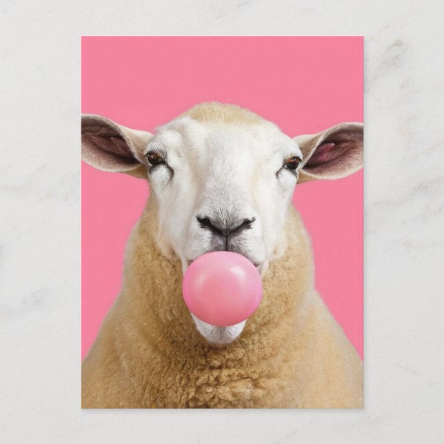 Beautiful Fantasy White Sheep Chewing Bubble Gum Postcard (Front)