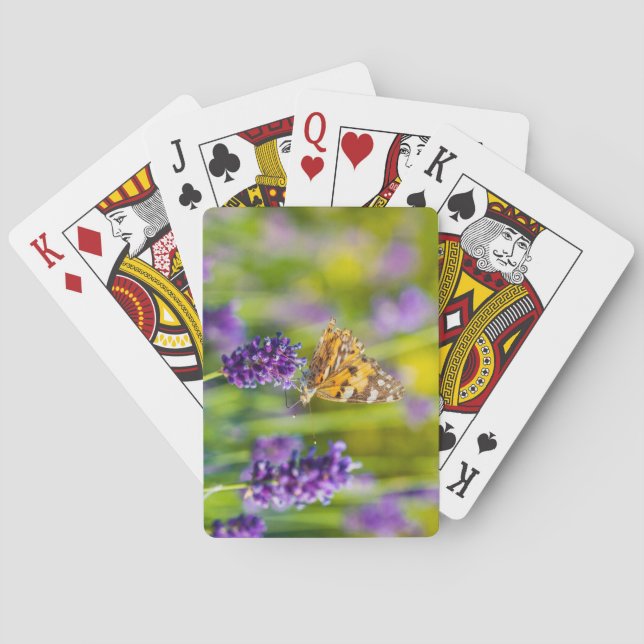 Beautiful Feeding Butterfly Deck of Playing Cards (Back)
