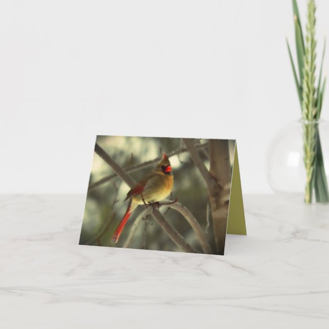 Beautiful Female Cardinal Bird Card (Front)