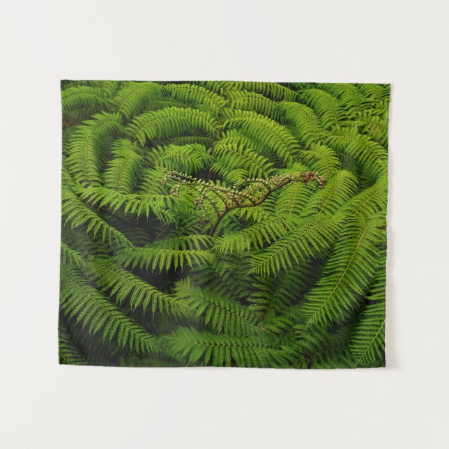 Beautiful Fern Leaves Tapestry (Front (Horizontal))