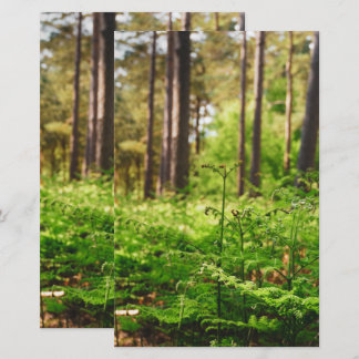 Beautiful fern woodland stationery