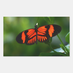 Beautiful Fiery Red and Black Butterfly Rectangular Sticker