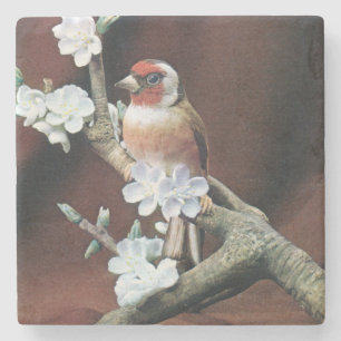 Beautiful Finch on a Branch Stone Coaster