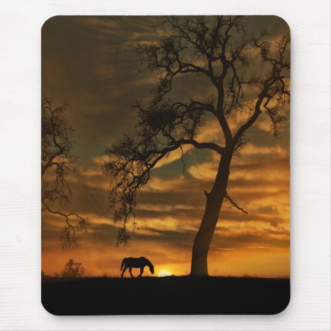 Beautiful Fine Art Horse Photography Mousepad (Front)