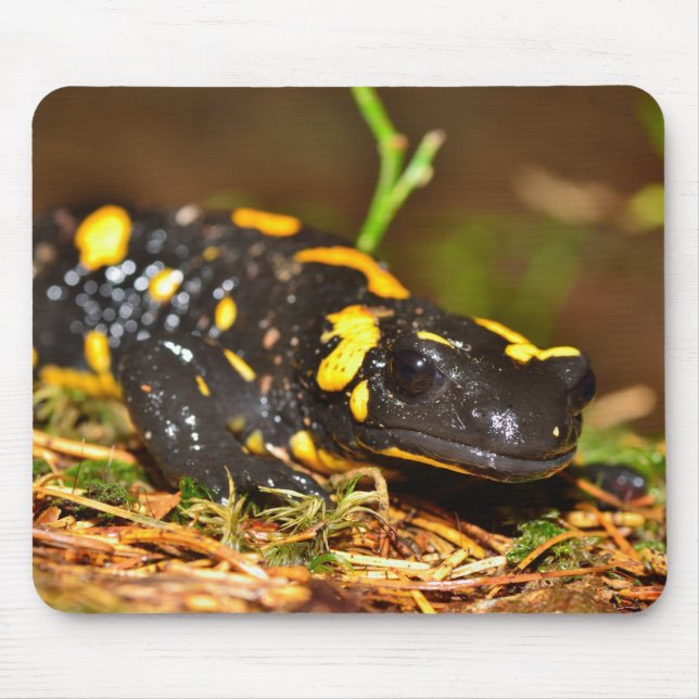 Beautiful Fire Salamander Mouse Mat (Front)