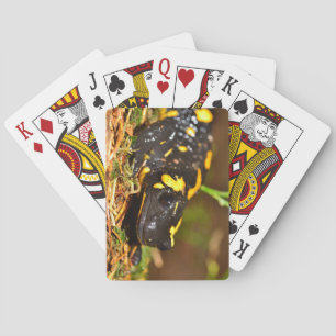 Beautiful Fire Salamander Playing Cards