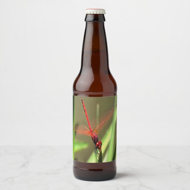 Beautiful Firecracker Dragonfly Acrylic Painting Beer Bottle Label (Front)