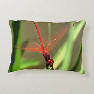 Beautiful Firecracker Dragonfly Acrylic Painting Decorative Cushion