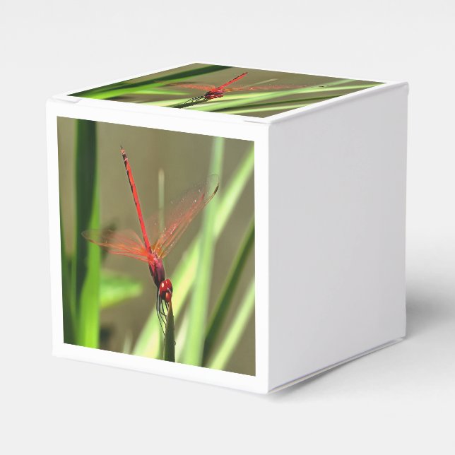 Beautiful Firecracker Dragonfly Acrylic Painting Favour Box (Front Side)
