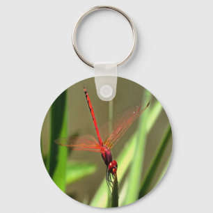 Beautiful Firecracker Dragonfly Acrylic Painting Key Ring