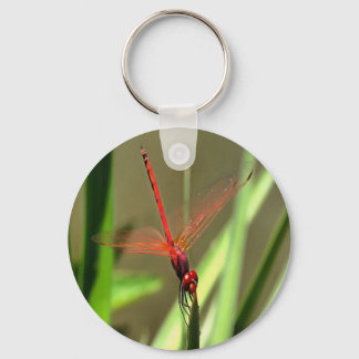 Beautiful Firecracker Dragonfly Acrylic Painting Key Ring