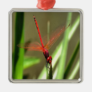 Beautiful Firecracker Dragonfly Acrylic Painting Metal Tree Decoration