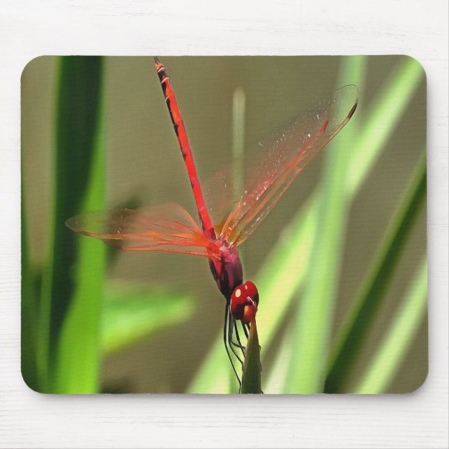 Beautiful Firecracker Dragonfly Acrylic Painting Mouse Mat (Front)