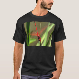Beautiful Firecracker Dragonfly Acrylic Painting T-Shirt
