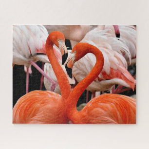 Beautiful Flamingo Birds Jigsaw Puzzle