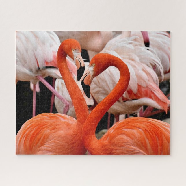 Beautiful Flamingo Birds  Jigsaw Puzzle (Horizontal)