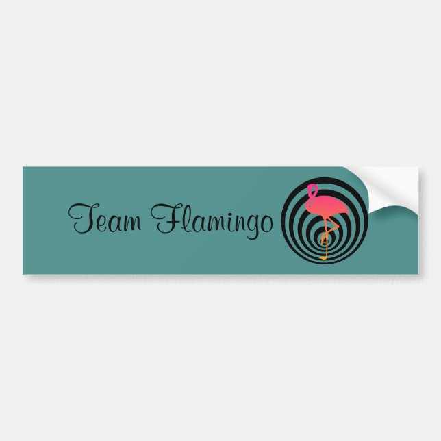 Beautiful flamingo in circles bumper sticker (Front)