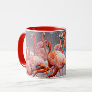 Beautiful Flamingos Photo Coffee Mug