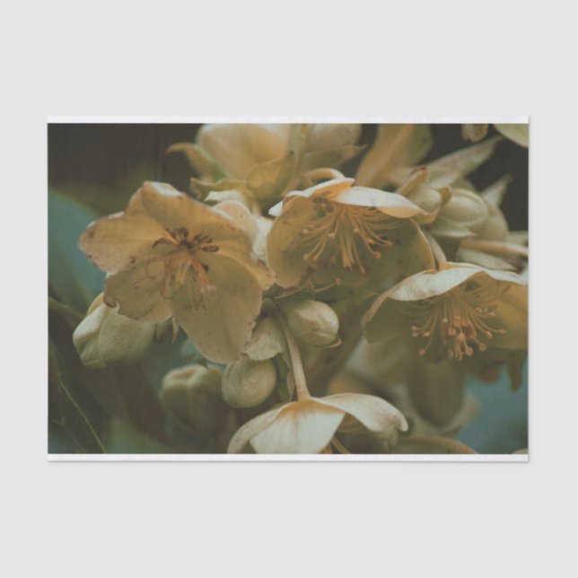 Beautiful floral flower Tissue Paper (Front)