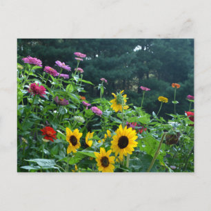Beautiful floral garden postcard