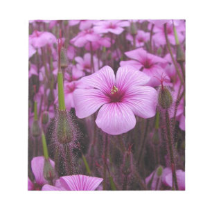 Beautiful Floral Notepad