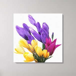 Beautiful floral pretty colourful crocus tulip  canvas print