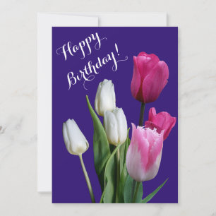 Beautiful floral white pink tulips happy birthday holiday card