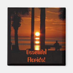 Beautiful Florida! Magnet