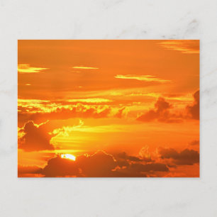 Beautiful Florida Sunrise Postcard